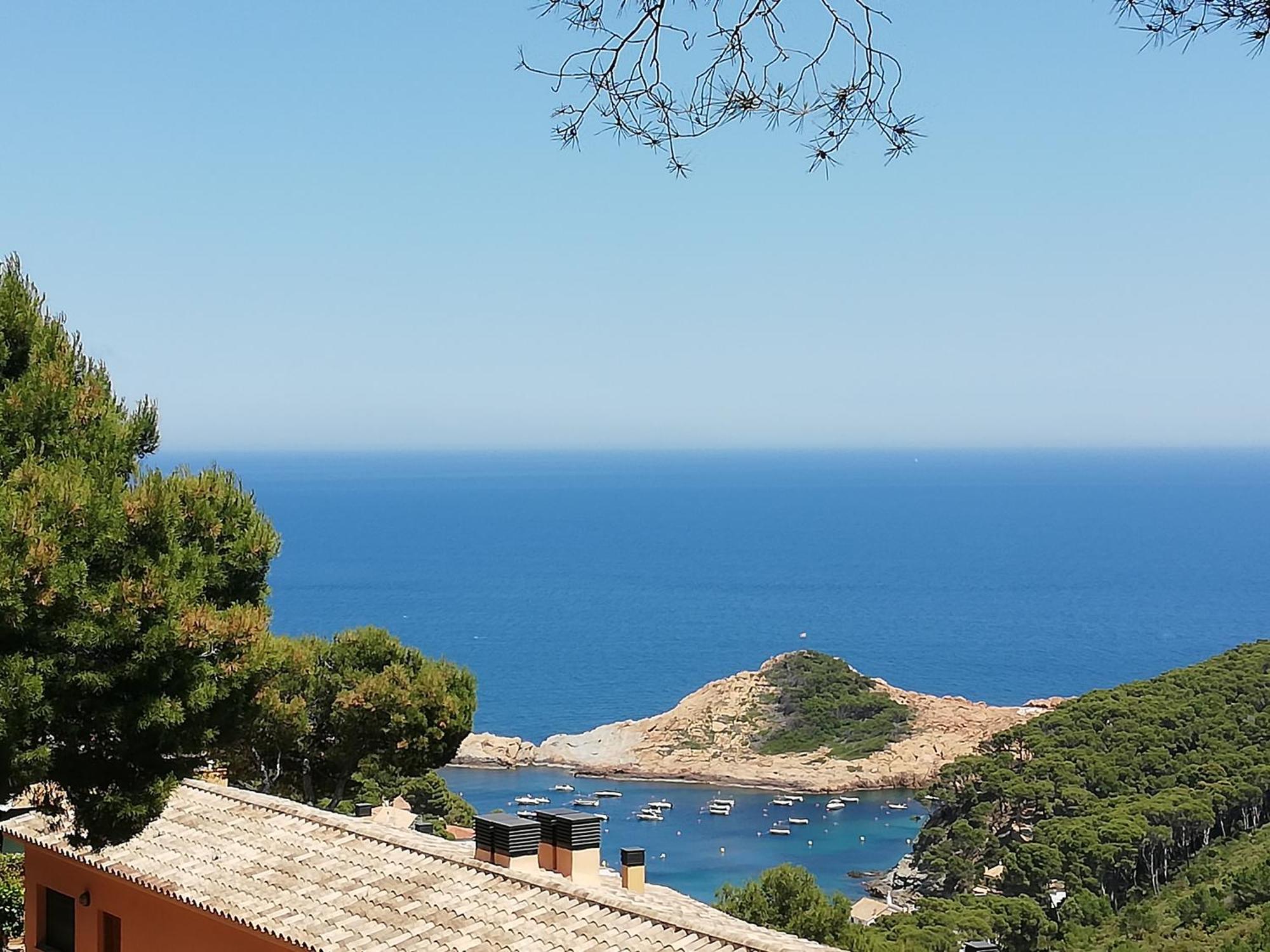 "La Terrasse De La Mer 8" -Climatisation-Wifi-Bbq -Piscine-Parking Begur Exteriör bild