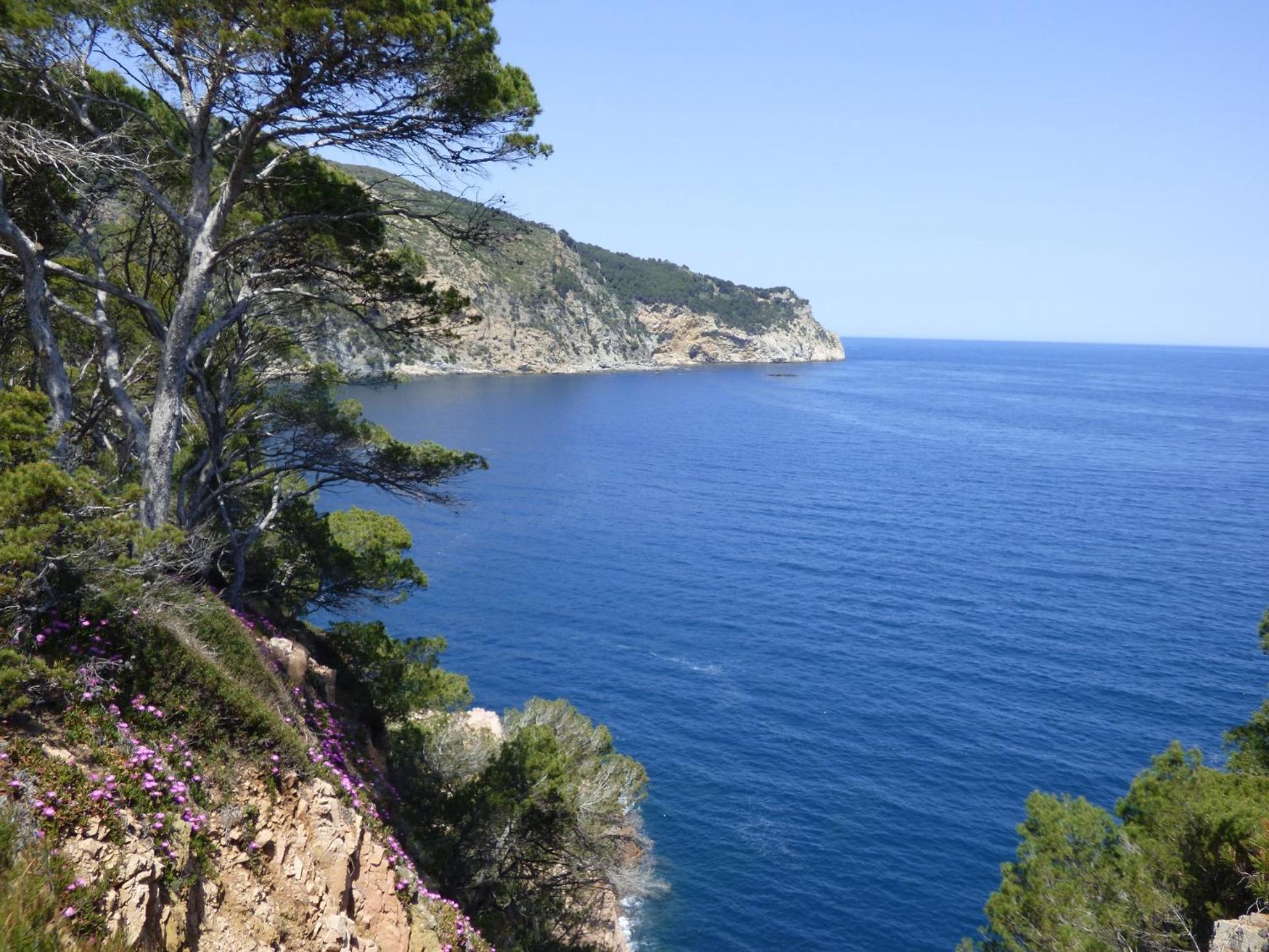 "La Terrasse De La Mer 8" -Climatisation-Wifi-Bbq -Piscine-Parking Begur Exteriör bild